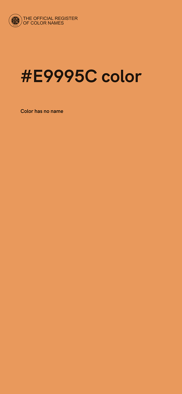 #E9995C color image