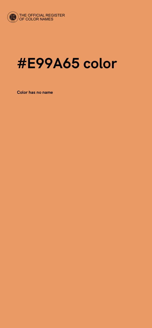 #E99A65 color image