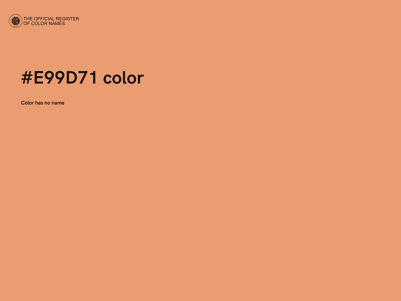 #E99D71 color image