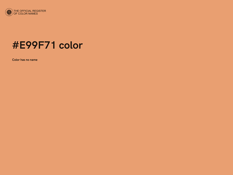 #E99F71 color image