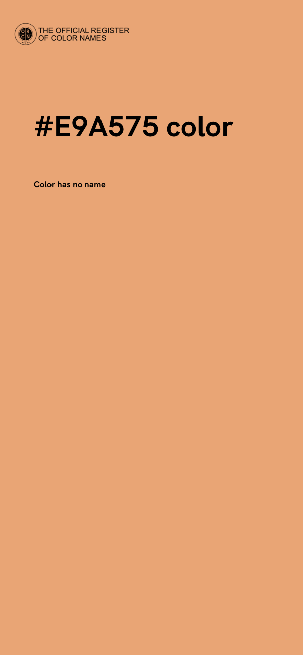 #E9A575 color image