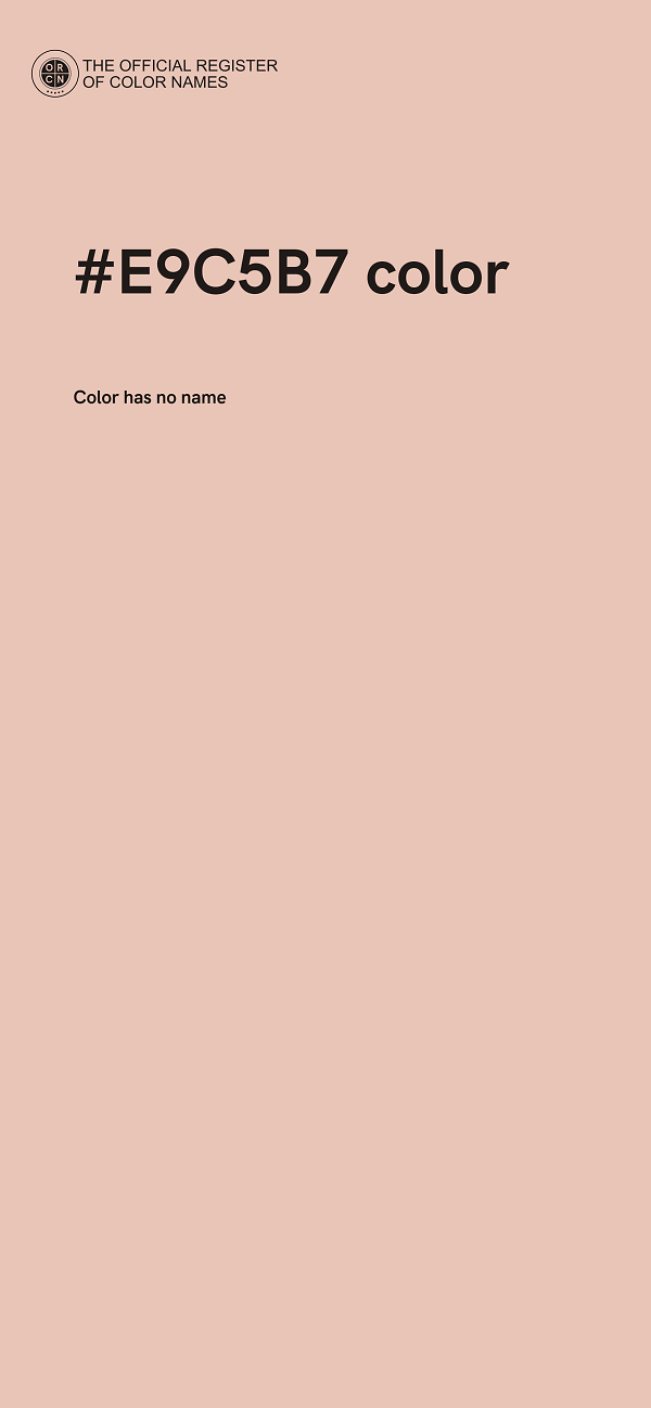 #E9C5B7 color image