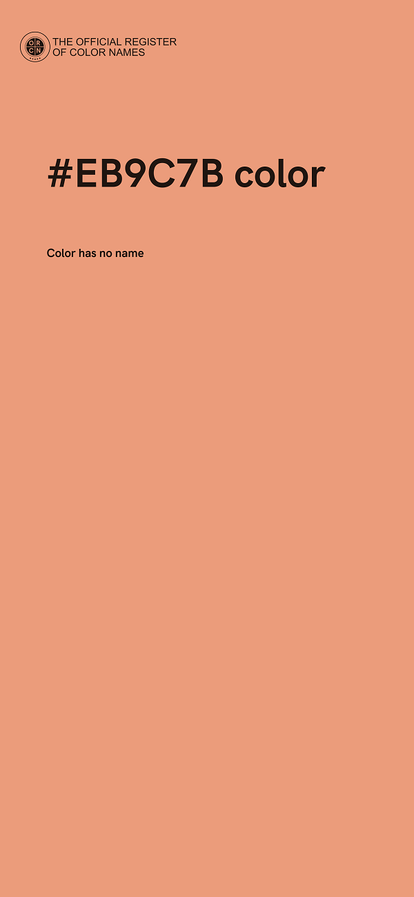 #EB9C7B color image