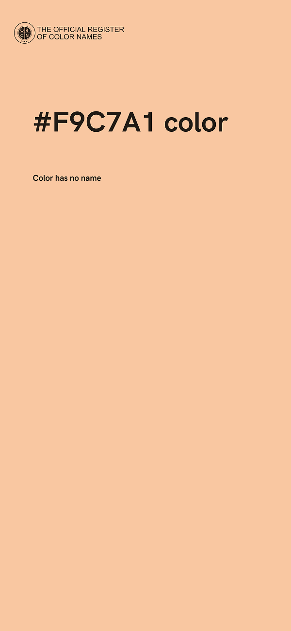 #F9C7A1 color image