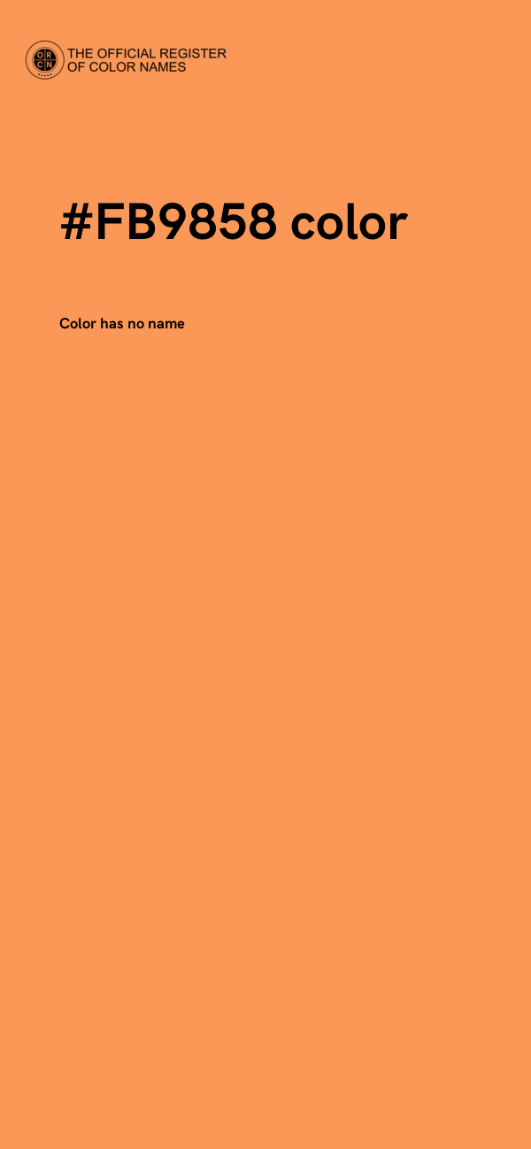 #FB9858 color image