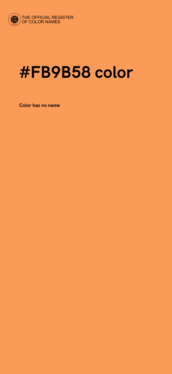 #FB9B58 color image