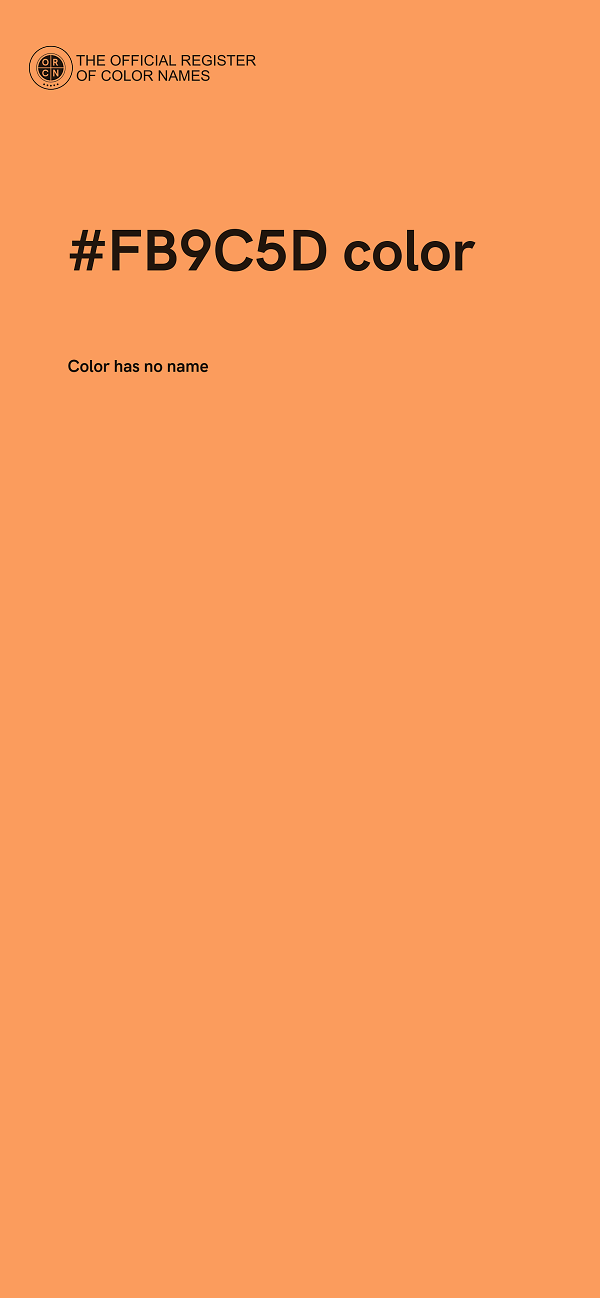 #FB9C5D color image