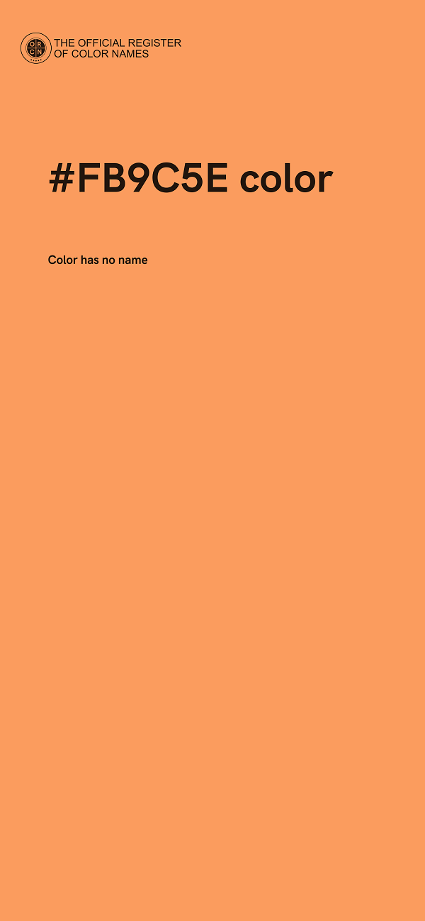 #FB9C5E color image