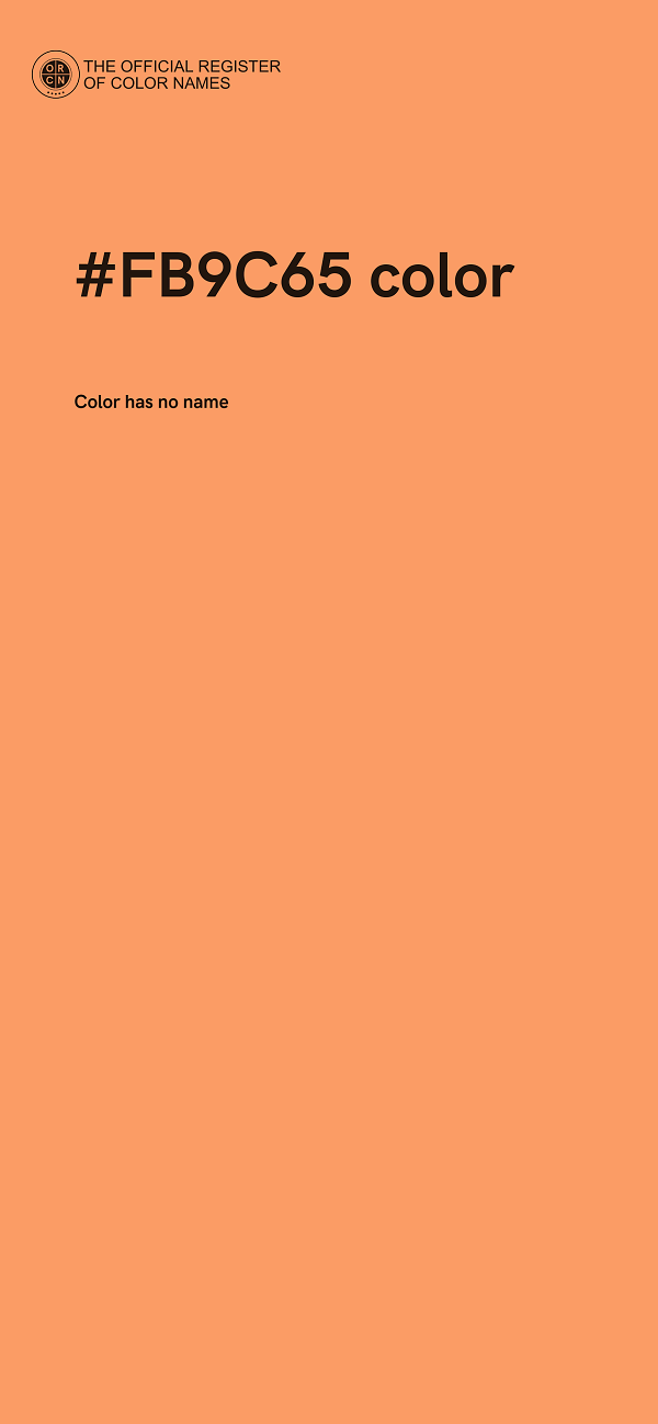 #FB9C65 color image