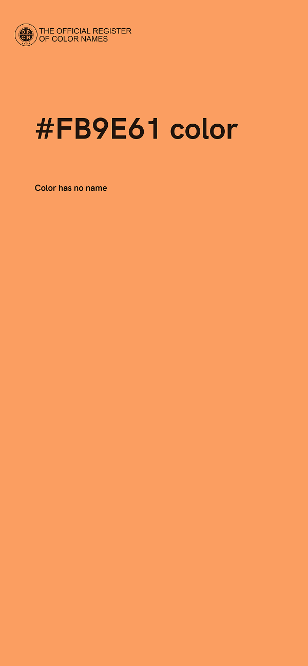 #FB9E61 color image