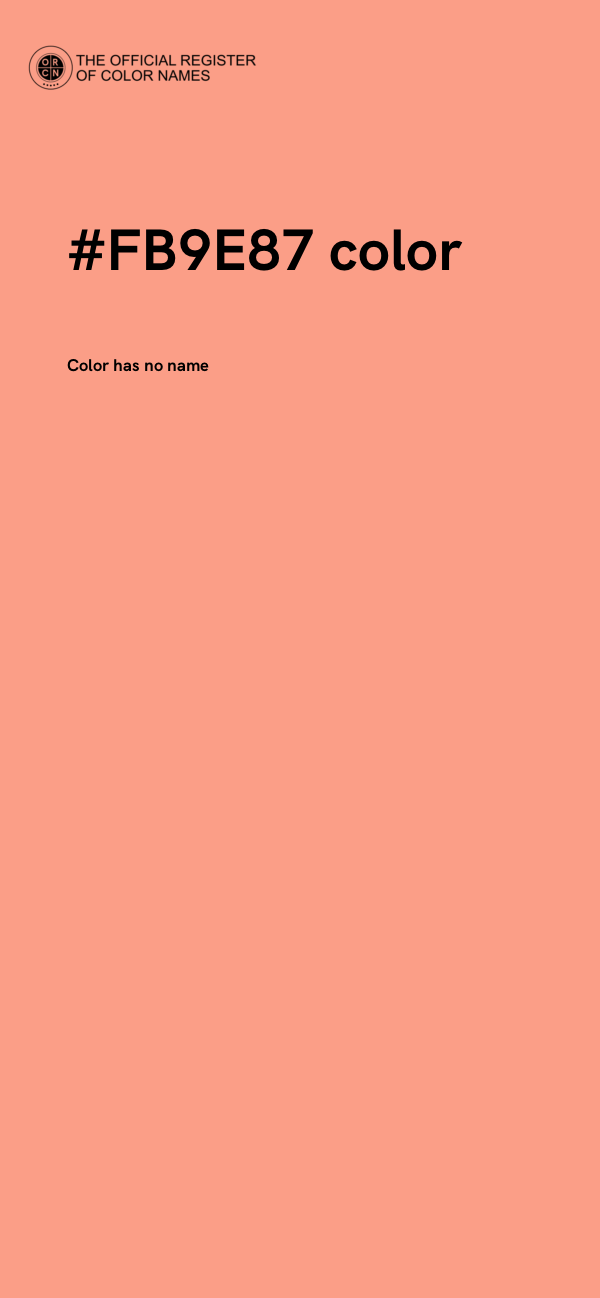 #FB9E87 color image