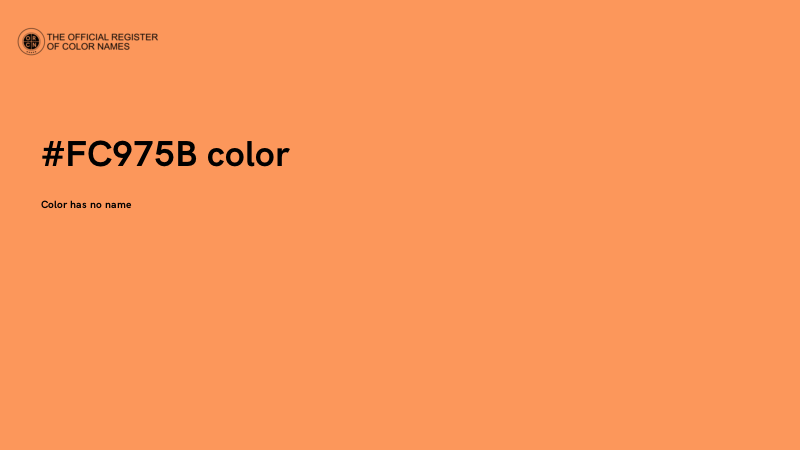 #FC975B color image