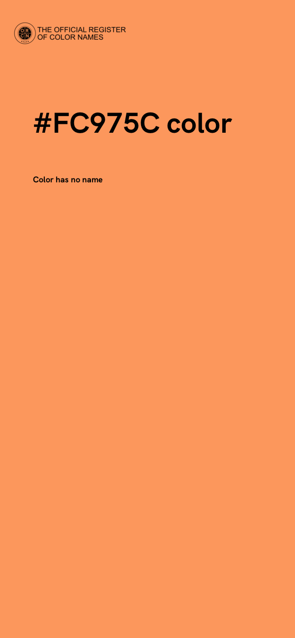 #FC975C color image