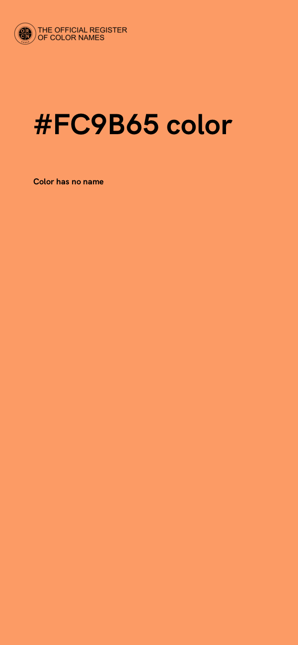 #FC9B65 color image
