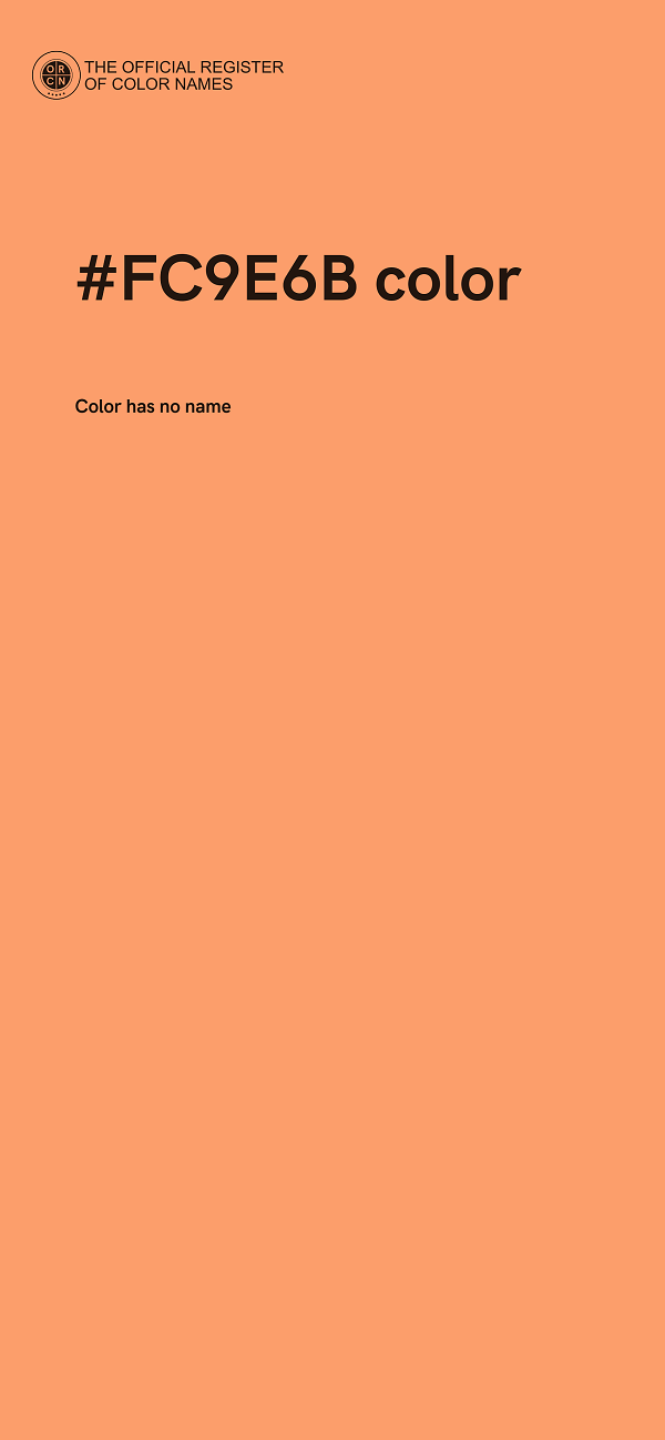 #FC9E6B color image