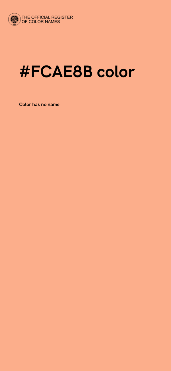#FCAE8B color image