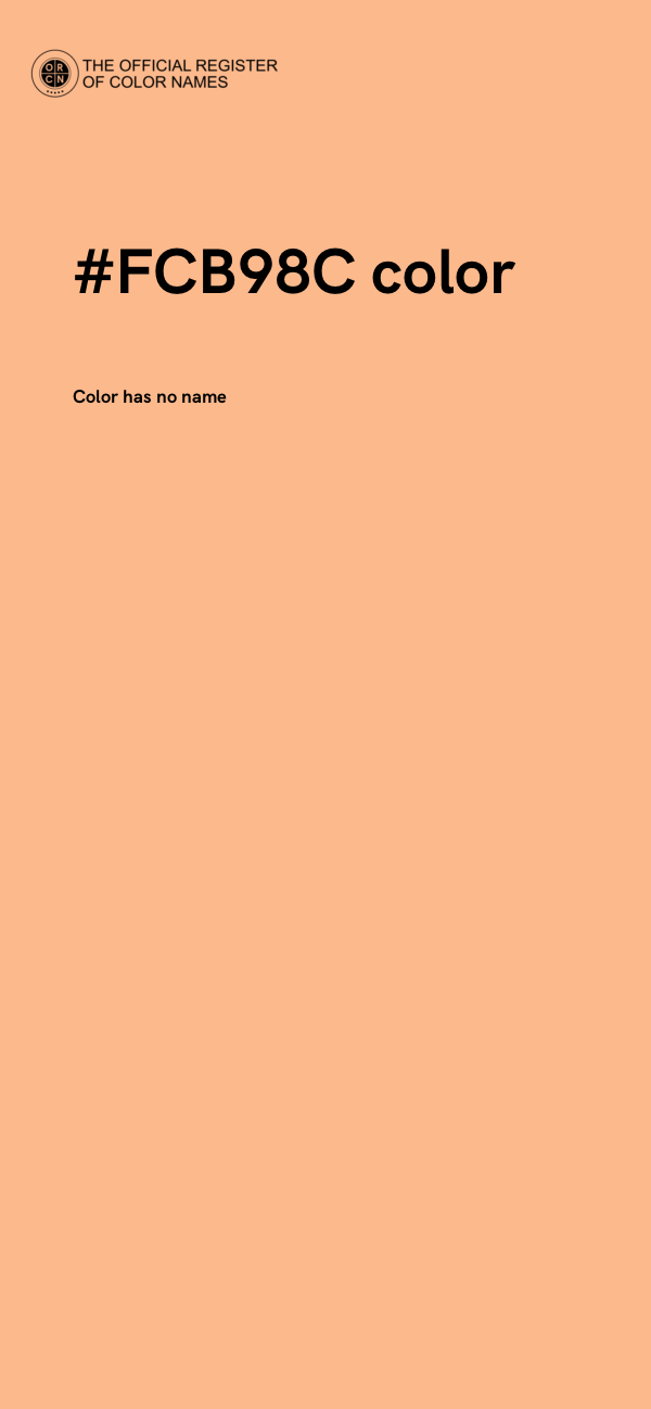 #FCB98C color image