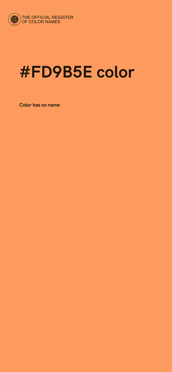 #FD9B5E color image