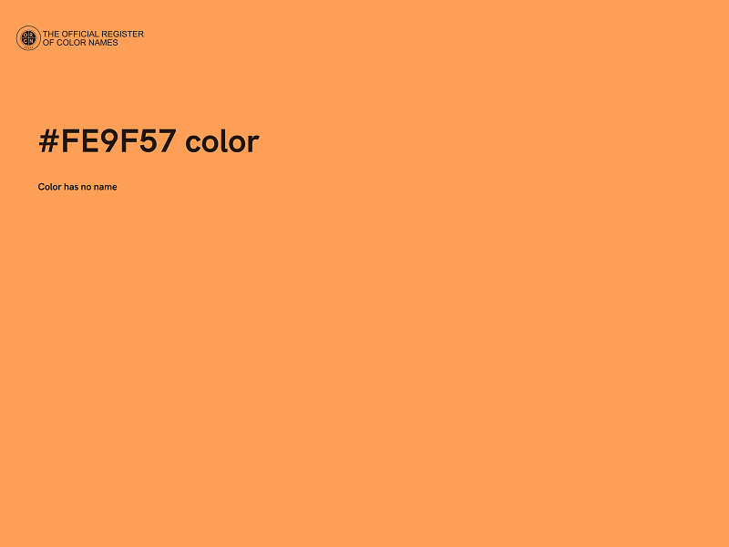 #FE9F57 color image