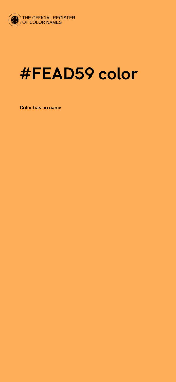 #FEAD59 color image
