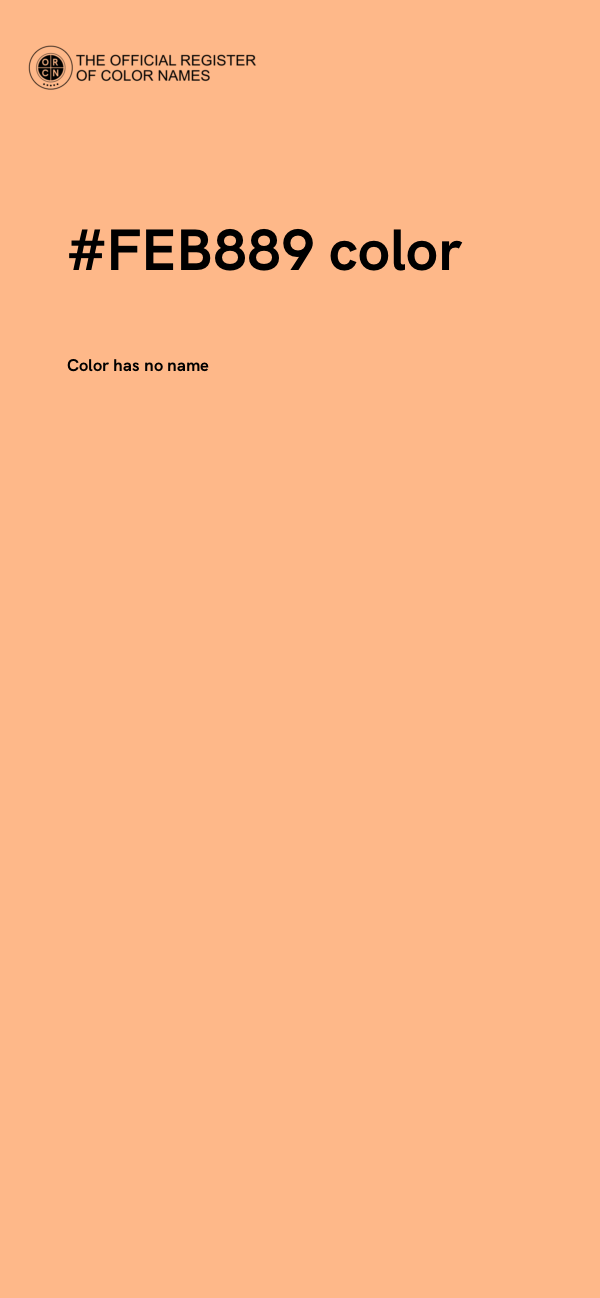 #FEB889 color image