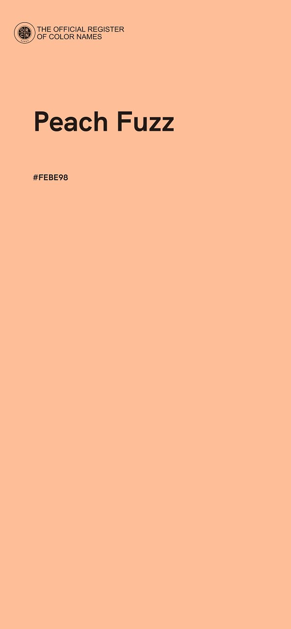 #FEBE98 - Peach Fuzz color image