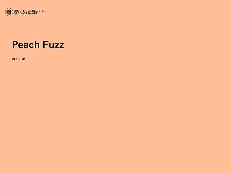 #FEBE98 - Peach Fuzz color image