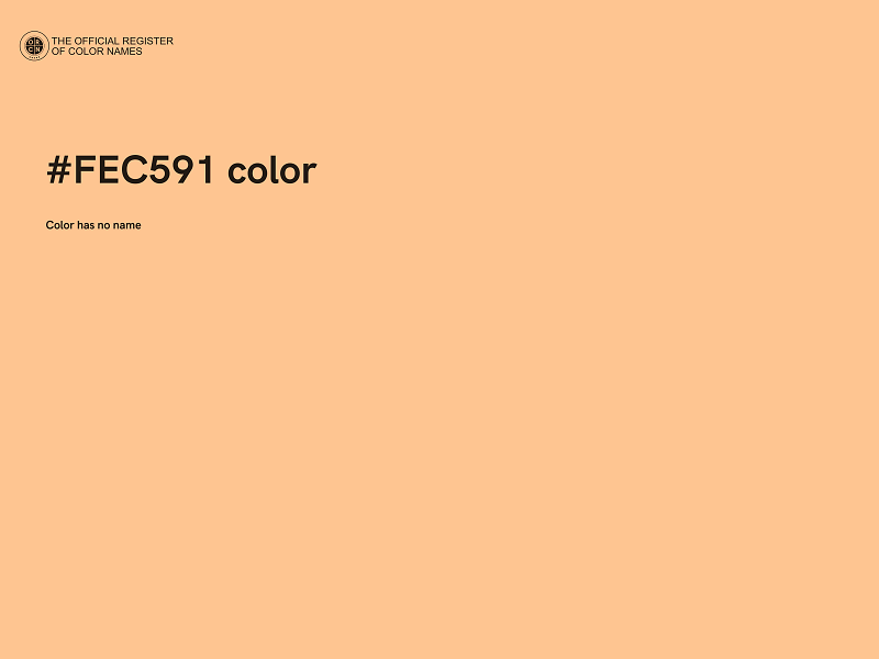 #FEC591 color image