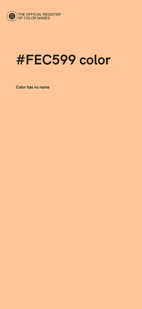 #FEC599 color image