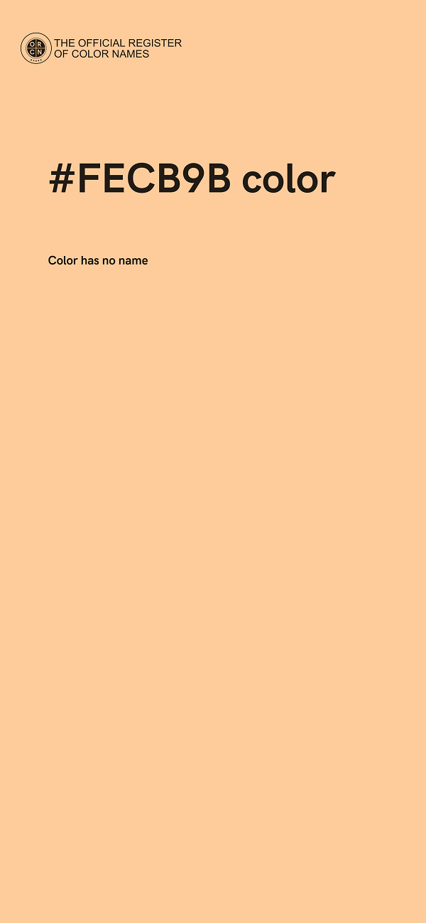 #FECB9B color image