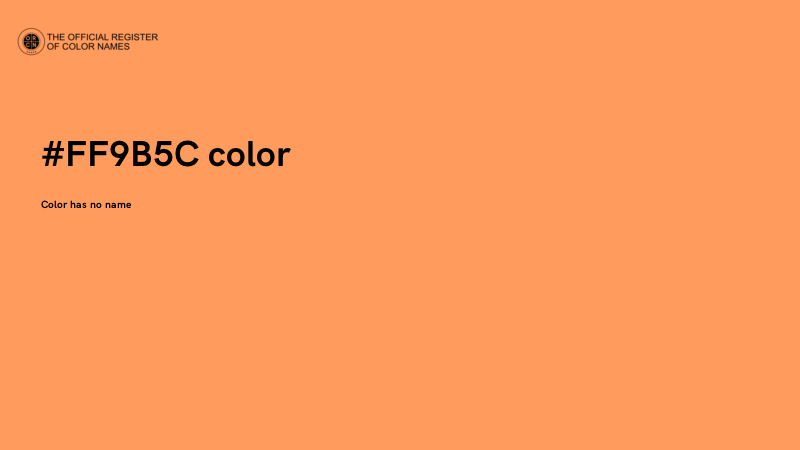 #FF9B5C color image
