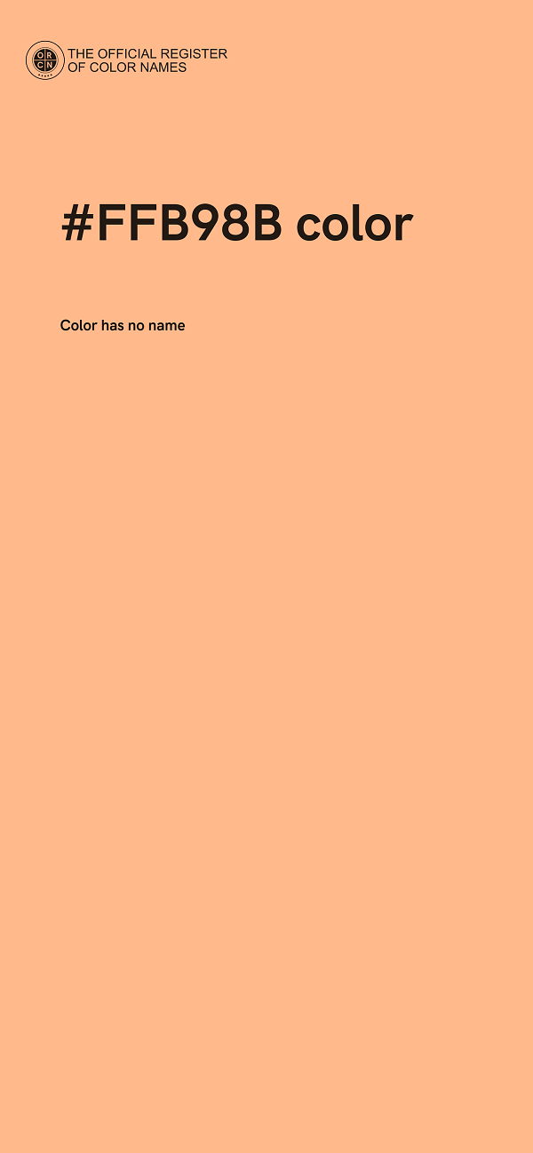 #FFB98B color image