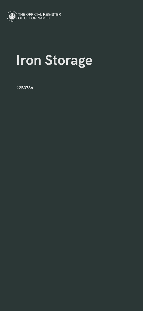 #2B3736 - Iron Storage color image