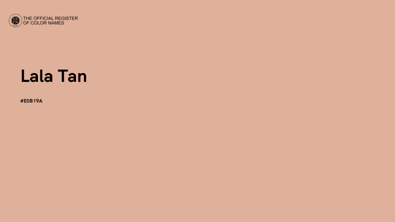 #E0B19A - Lala Tan color image