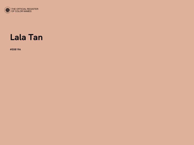 #E0B19A - Lala Tan color image