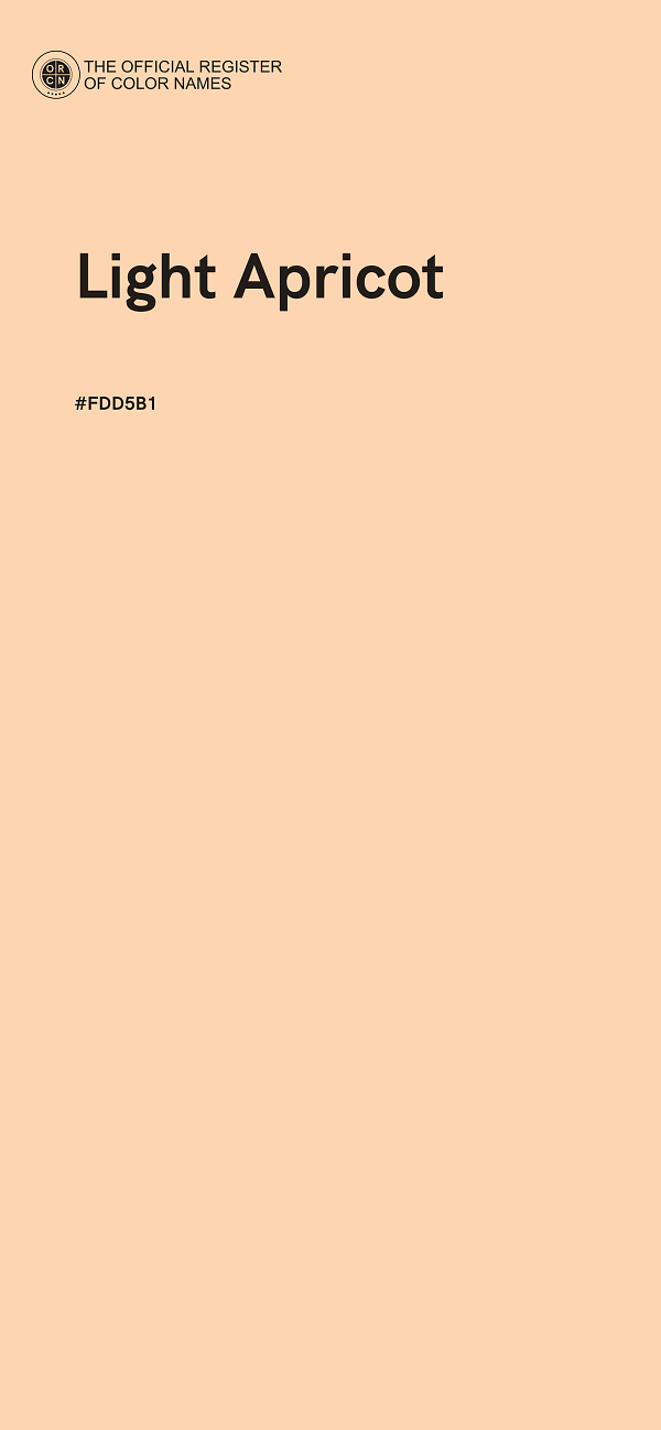 #FDD5B1 - Light Apricot color image