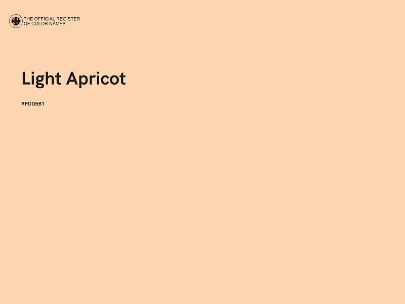 #FDD5B1 - Light Apricot color image