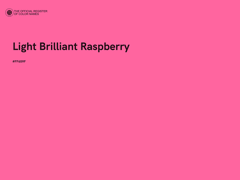 #FF659F - Light Brilliant Raspberry color image