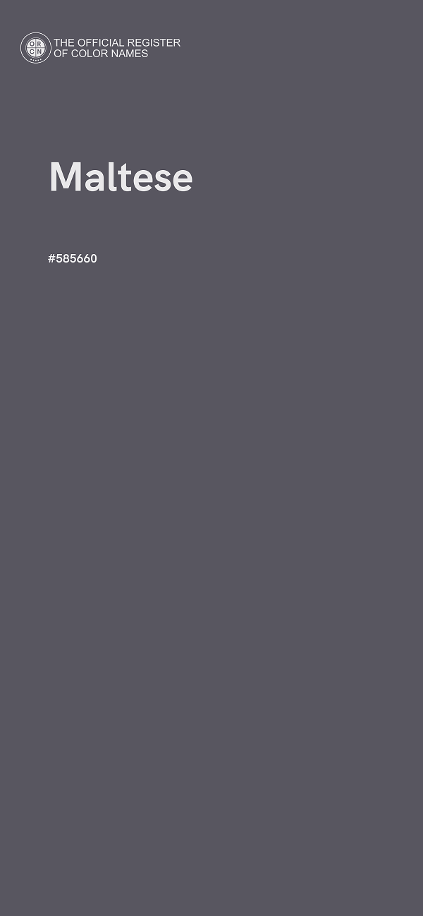 #585660 - Maltese color image