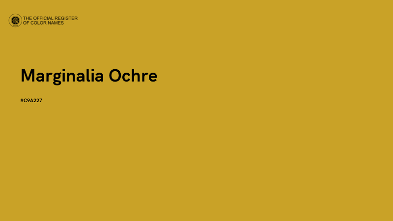 #C9A227 - Marginalia Ochre color image