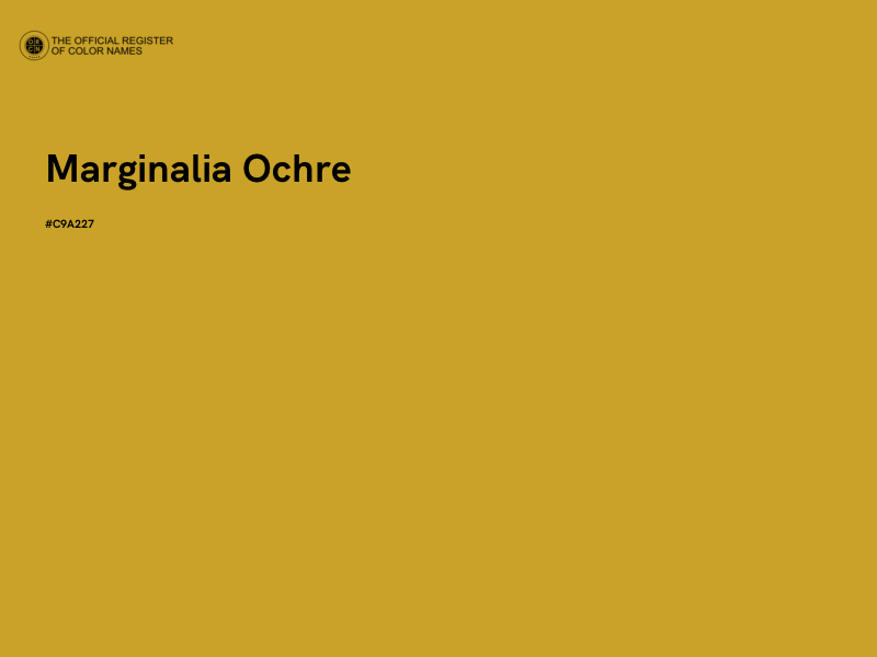 #C9A227 - Marginalia Ochre color image