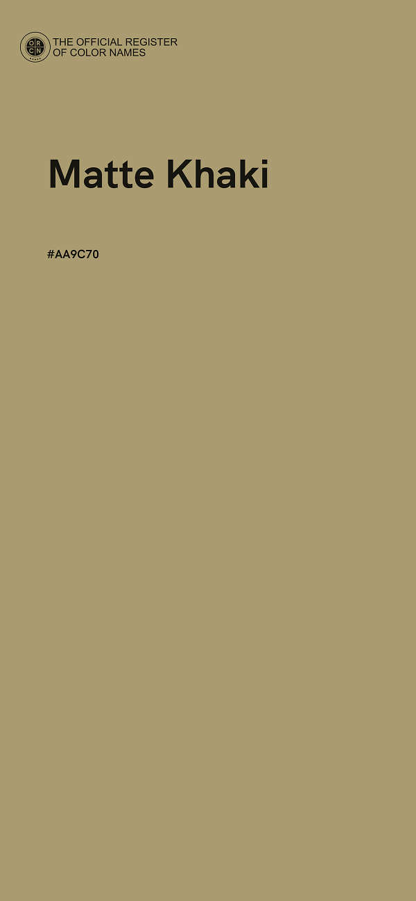 #AA9C70 - Matte Khaki color image