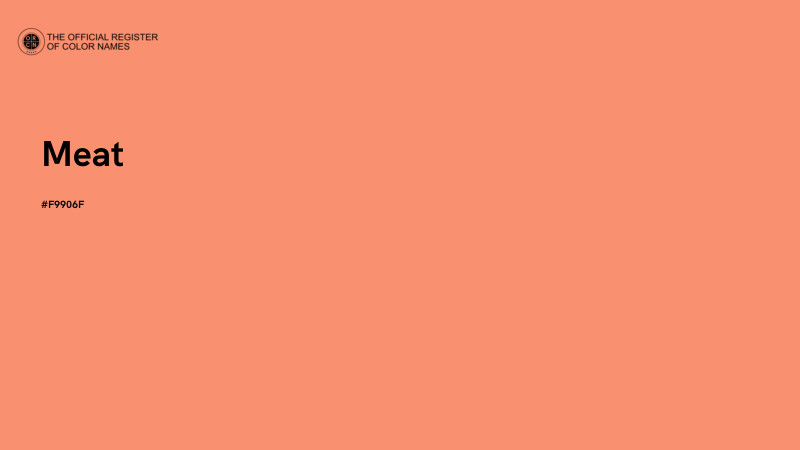 #F9906F - Meat color image