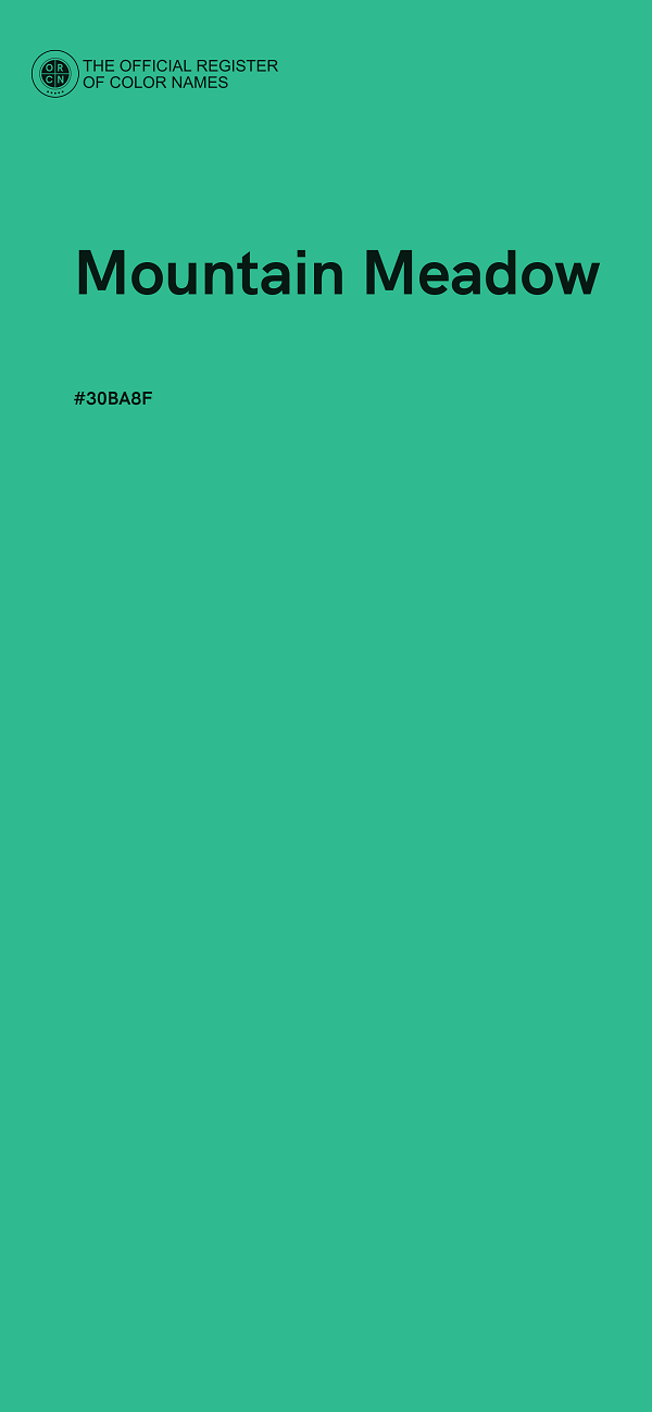 #30BA8F - Mountain Meadow color image