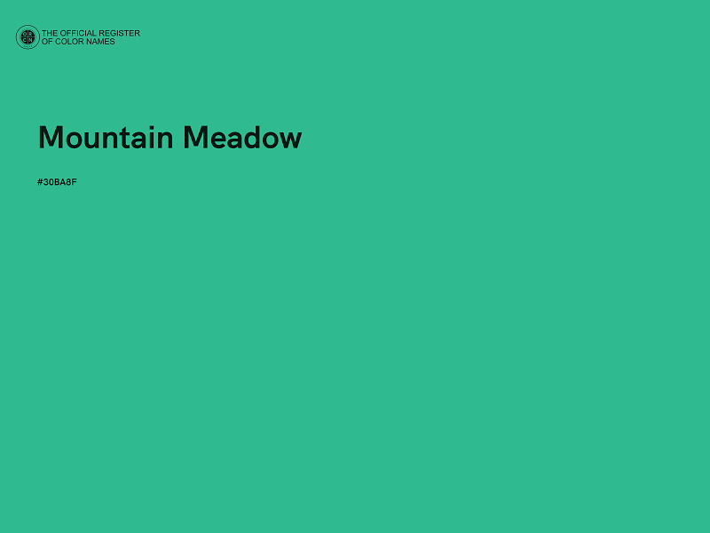 #30BA8F - Mountain Meadow color image
