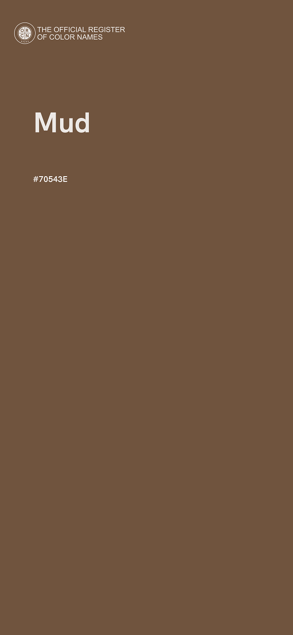 #70543E - Mud color image
