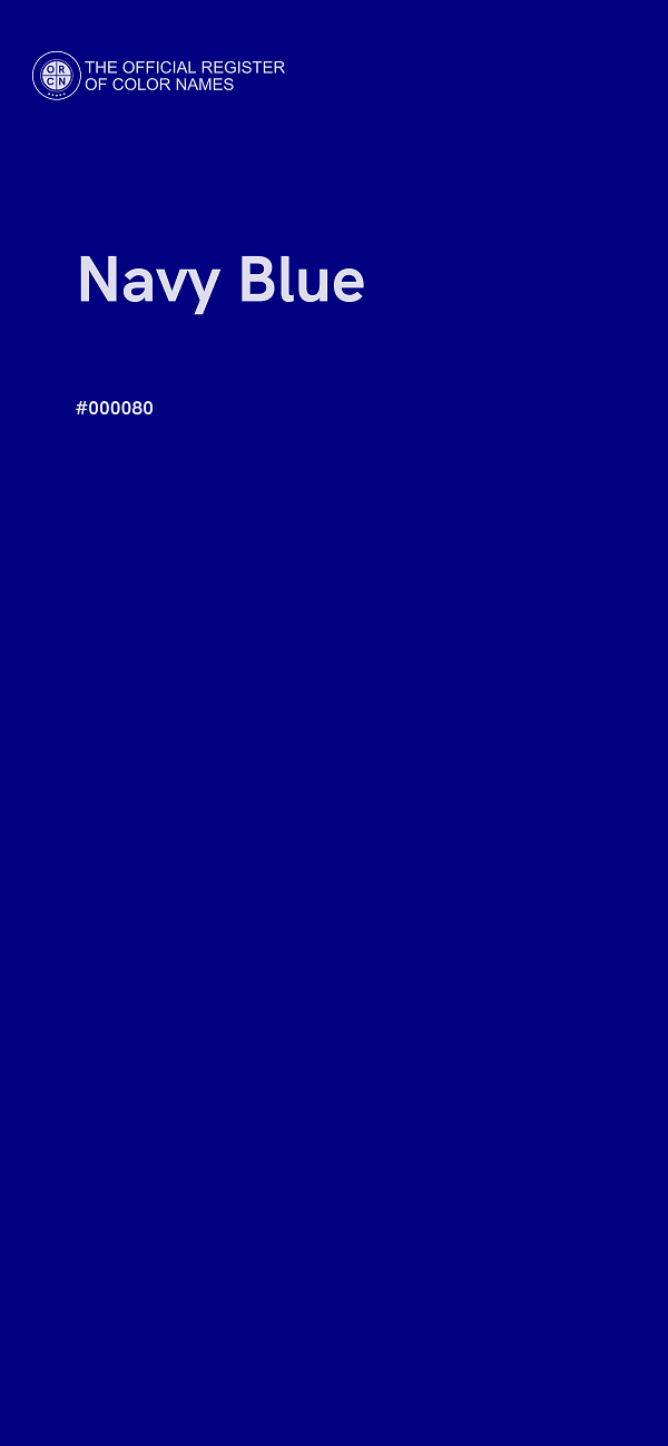 #000080 - Navy Blue color image
