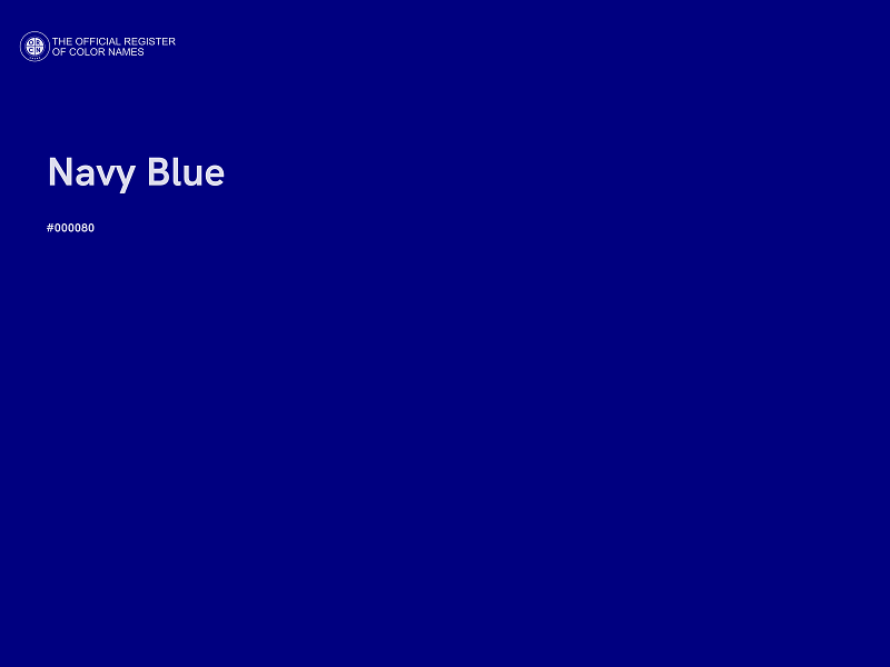 #000080 - Navy Blue color image