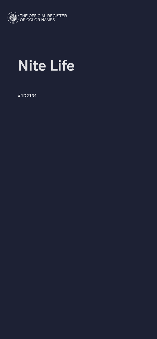 #1D2134 - Nite Life color image