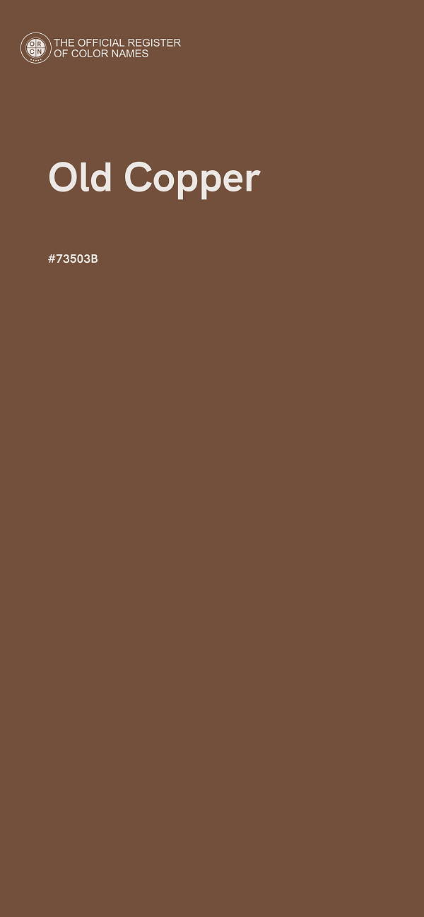 #73503B - Old Copper color image